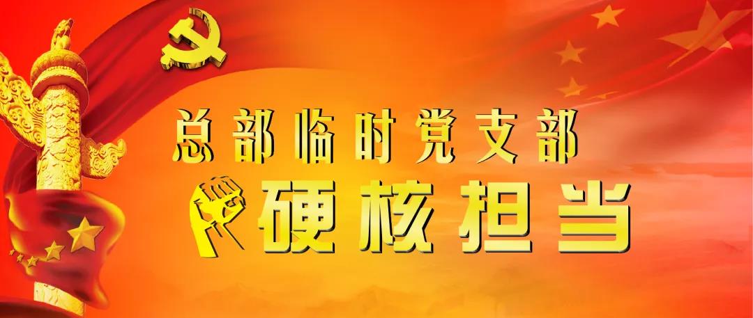 【总部临时党支部硬核担当 助力巡视整改“三个落实”之一】党建促执行 助力“行动落实”