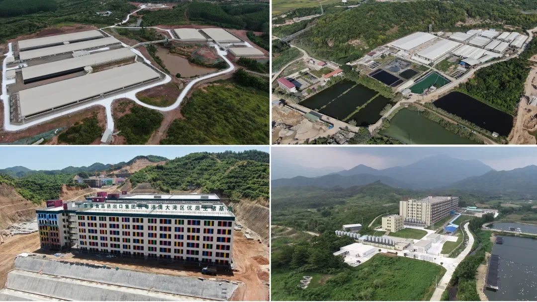 优发国际|随优而动一触即发
深入贯彻全省高质量发展大会精神(六) 优发国际|随优而动一触即发
深入贯彻全省高质量发展大会精神(六)