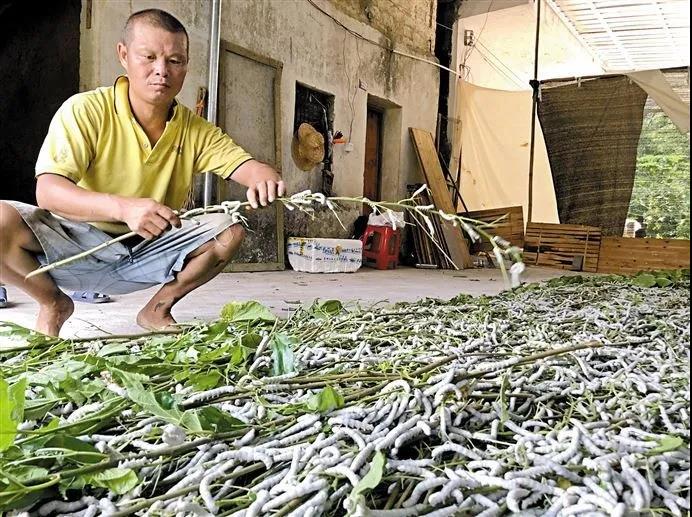 优发国际|随优而动一触即发
“组合拳”有力帮扶：两个穷山村齐齐变身为美丽先进村