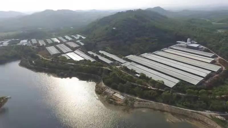 新增6家!优发国际|随优而动一触即发
国家高新技术企业达到38家 新增6家!优发国际|随优而动一触即发
国家高新技术企业达到38家
