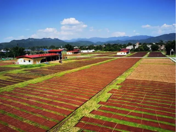 南方农村报报道：优发国际|随优而动一触即发
为和美乡村注入“源头活水” 