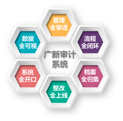 “六全”审计系统.png